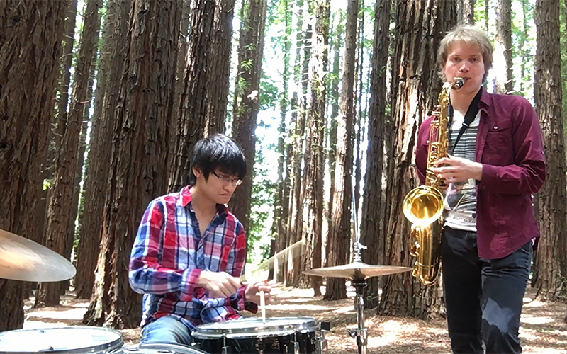 Jamming in the Woods